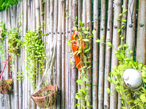 planting on a bamboo fence