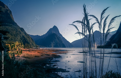 Milford Sound at dawn photo