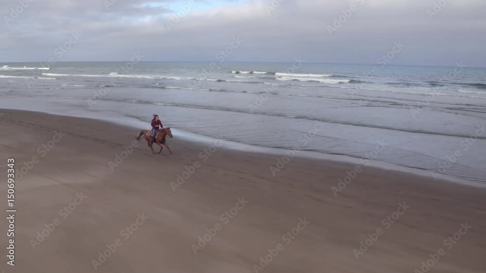 Aerial view of women riding horses at beach Aerial view of women riding horses at beach