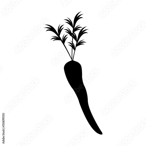 carrot vegetable nutrition vitamin food silhouette vector illustration