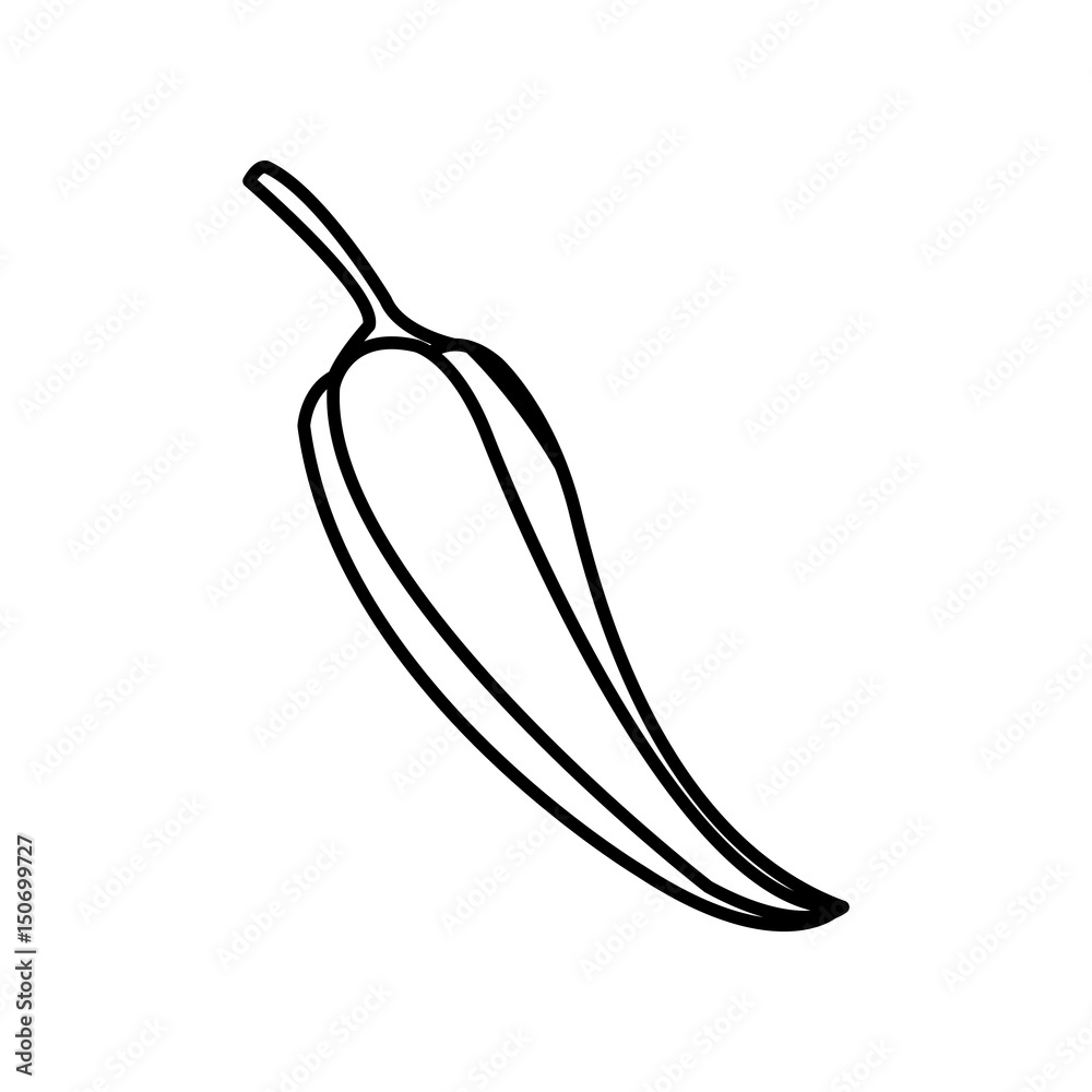 chili pepper spice cooking line vector illustration chili pepper spice cooking line vector illustration