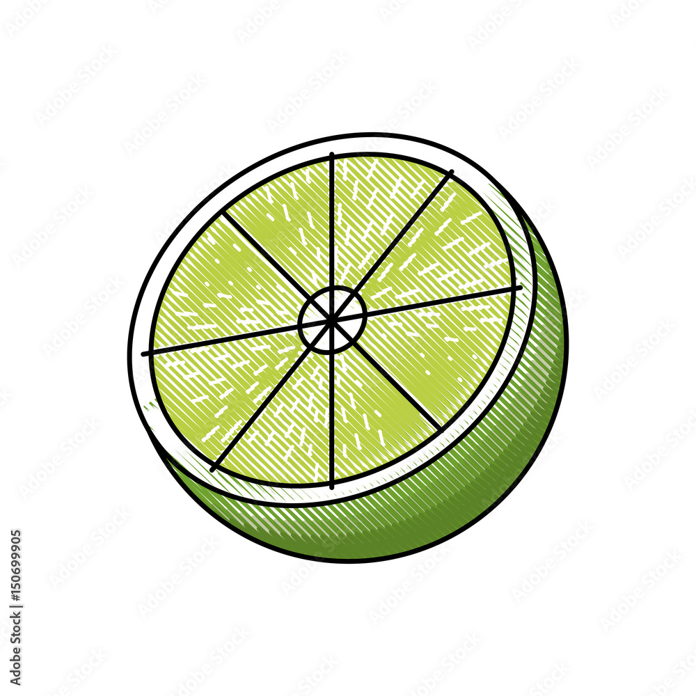 draw slice lemon citrus fruit fresh vector illustration draw slice lemon citrus fruit fresh vector illustration
