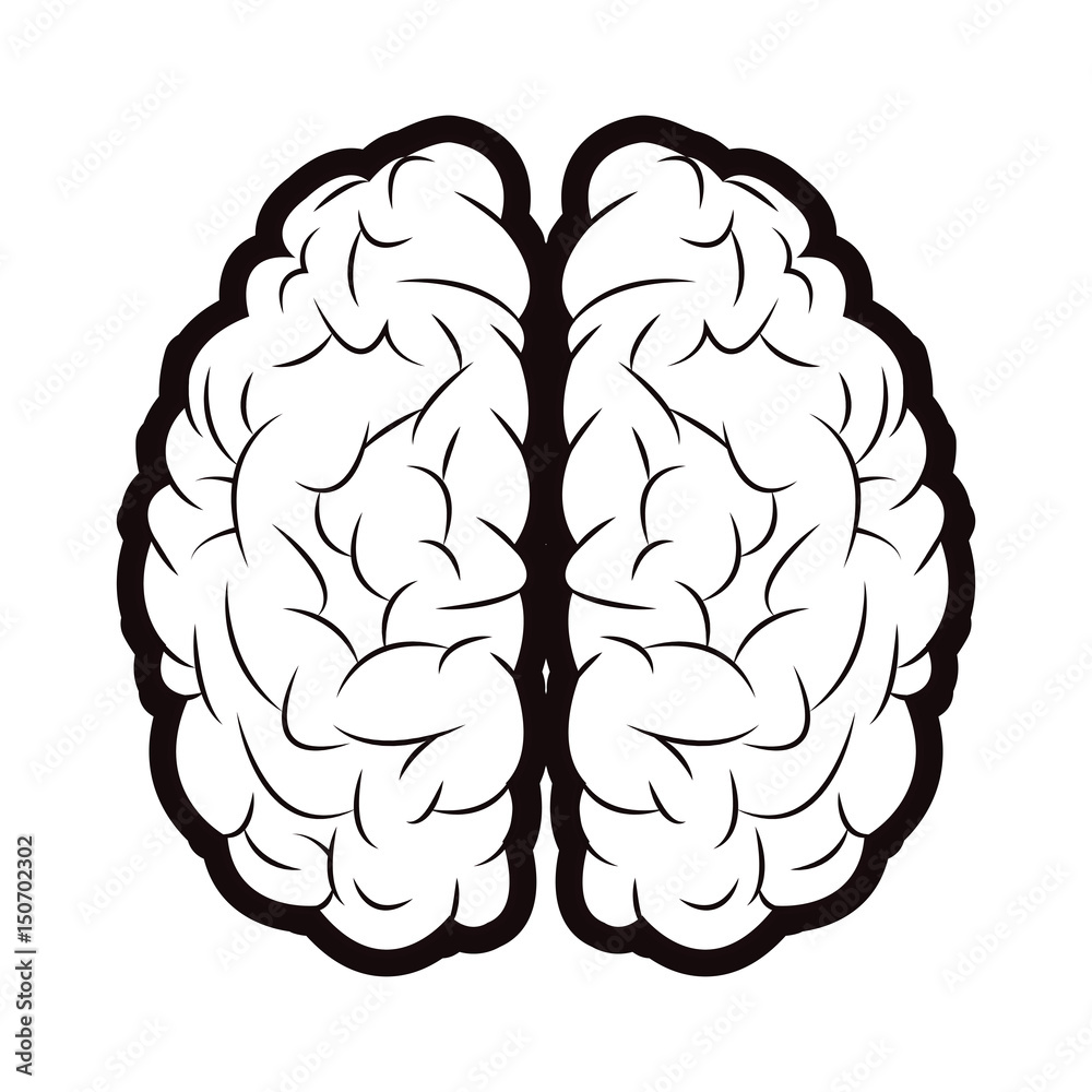 brain mind idea creativity memory outline vector illustration brain mind idea creativity memory outline vector illustration