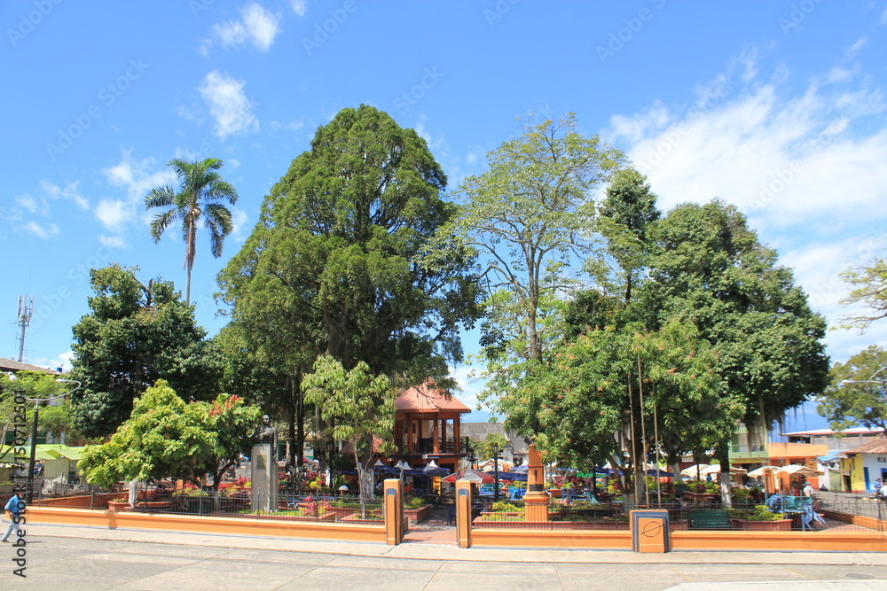 Obraz premium Arboleda. parque principal. Támesis, Antioquia, Colombia.