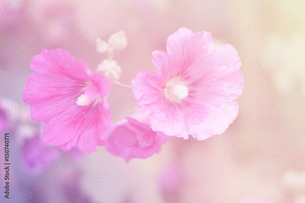 Bright Purple Flower Bright Purple Flower