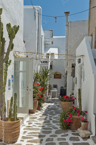 Fototapeta Naklejka Na Ścianę i Meble -  Typical street in town of Naoussa, Paros island, Cyclades, Greece