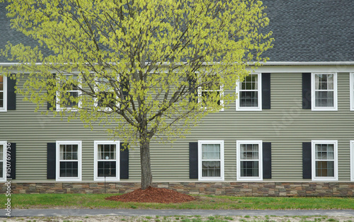 apartment building with spring trees landscape