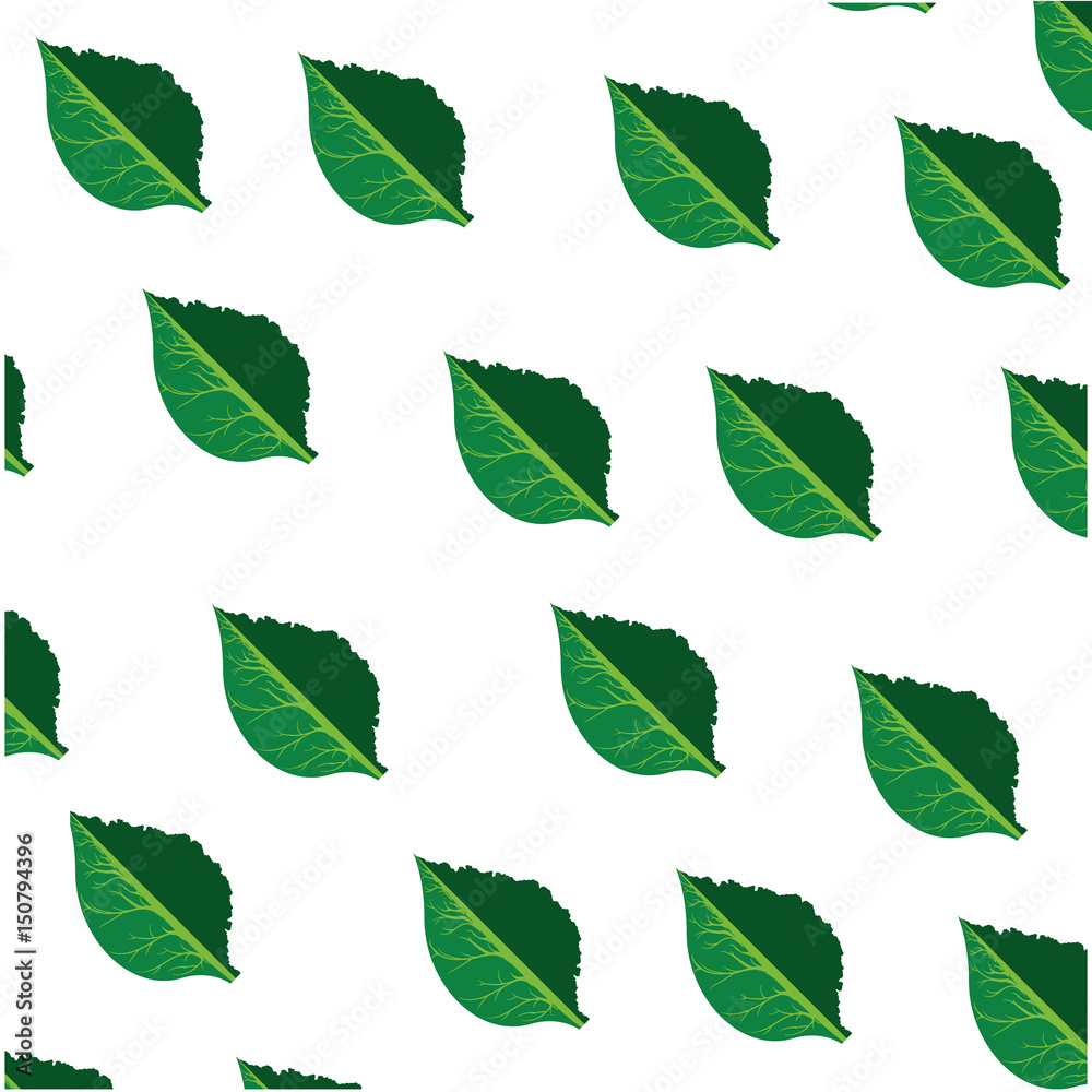 Leaf ecology symbol icon vector illustration graphic design Leaf ecology symbol icon vector illustration graphic design