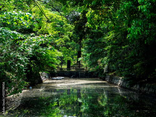 Hama rikyu japanese garden
 photo