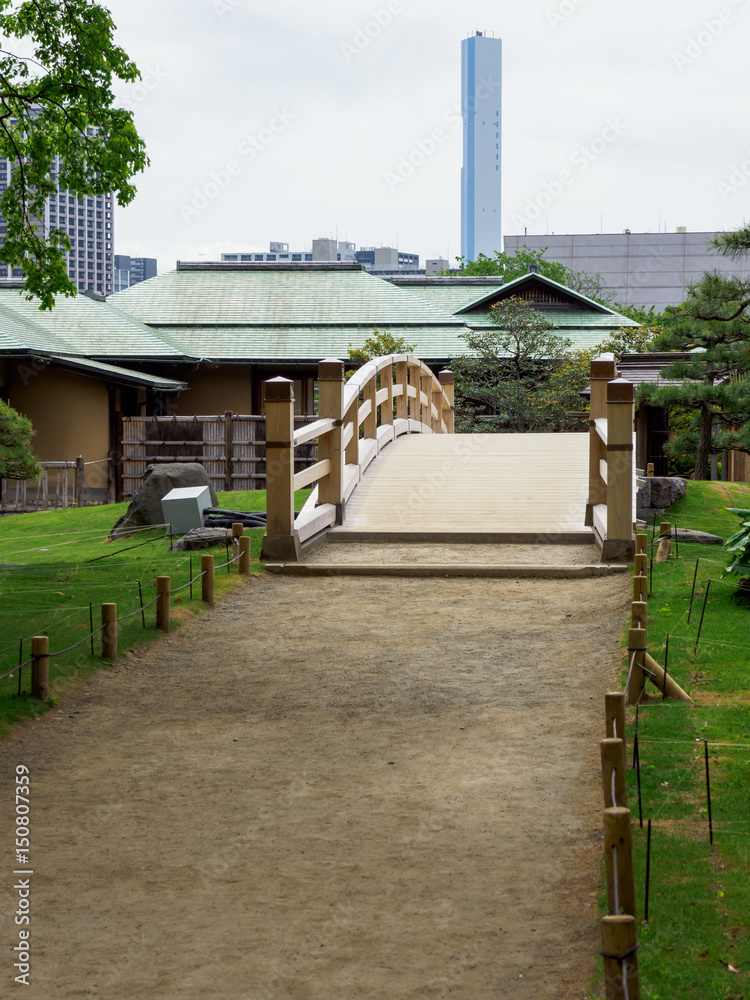 Hama rikyu japanese garden
