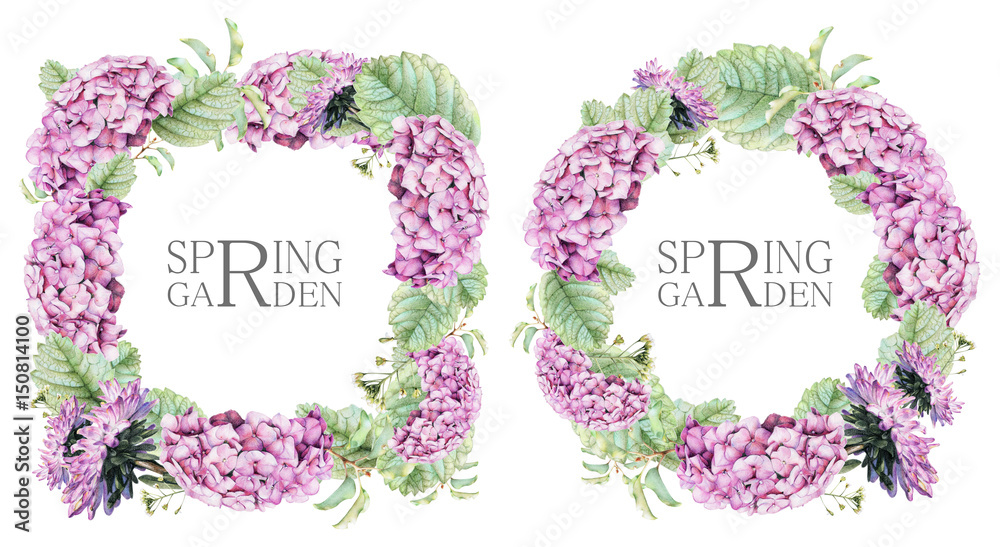 Set of square and round frames with pink asters and hydrangeas. Painted by hand with colored pencils illustration with spring flowers isolated on white. Romantic vintage style