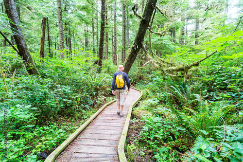 фотографія Vancouver forest