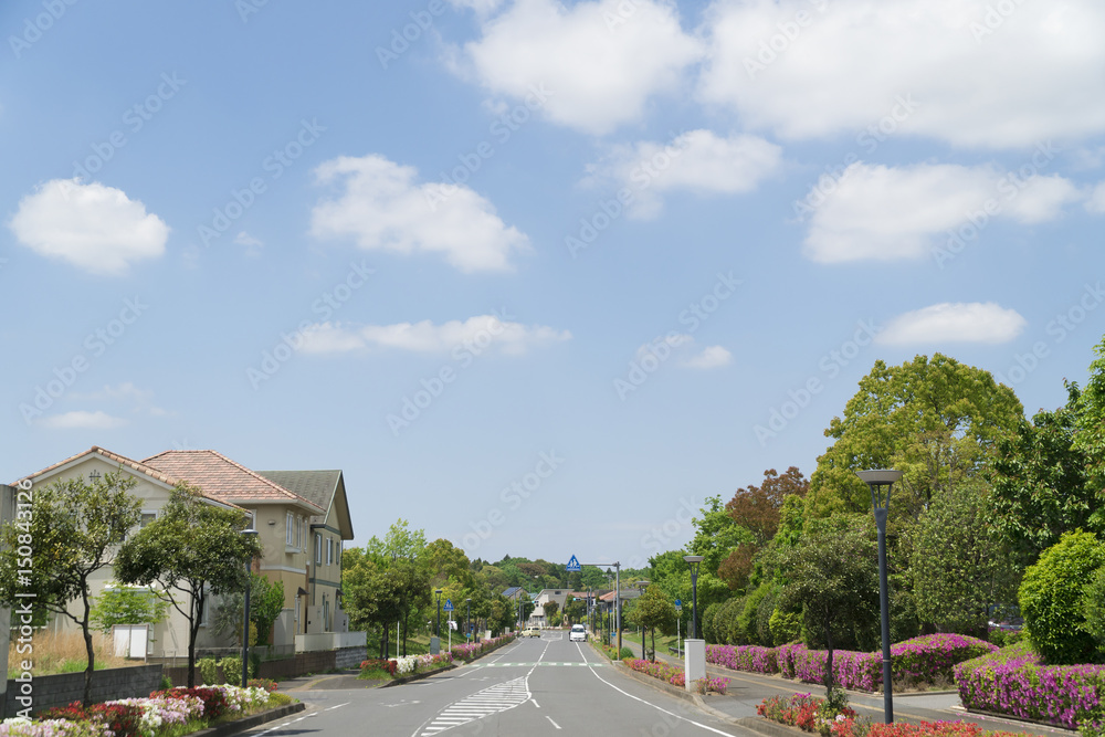 新築分譲住宅街 イメージ 爽やかな青空 新緑 道路 シンメトリー 新築分譲住宅街 イメージ 爽やかな青空 新緑 道路 シンメトリー