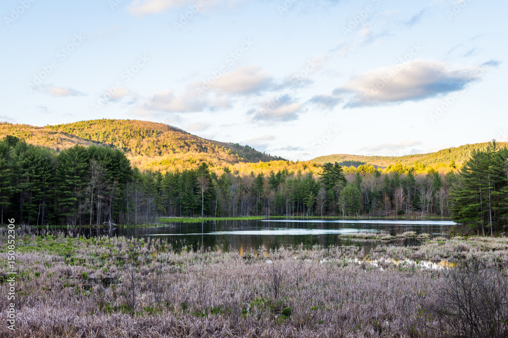 Indian Pond in Madame Sherri Forest in New Hampshire