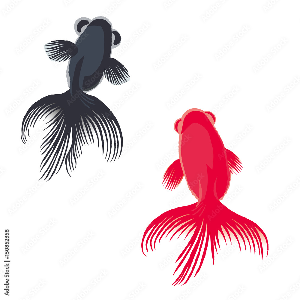 金魚 背景イラスト Stock Vector Adobe Stock