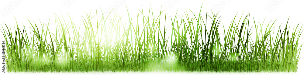 gras sonne banner highres bokeh gras sonne banner highres bokeh