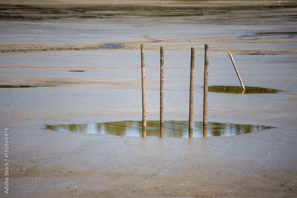 Dry lake and wooden pillars stuck in the mud Dry lake and wooden pillars stuck in the mud
