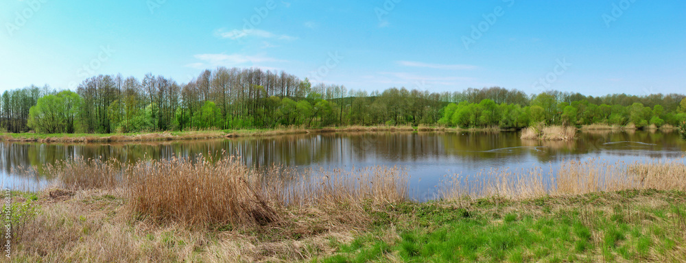 Panoramic image of lake in the woods