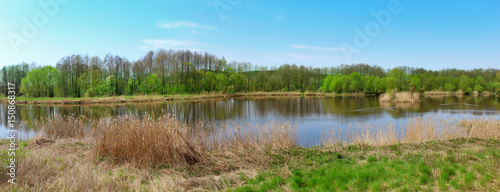 Panoramic image of lake in the woods