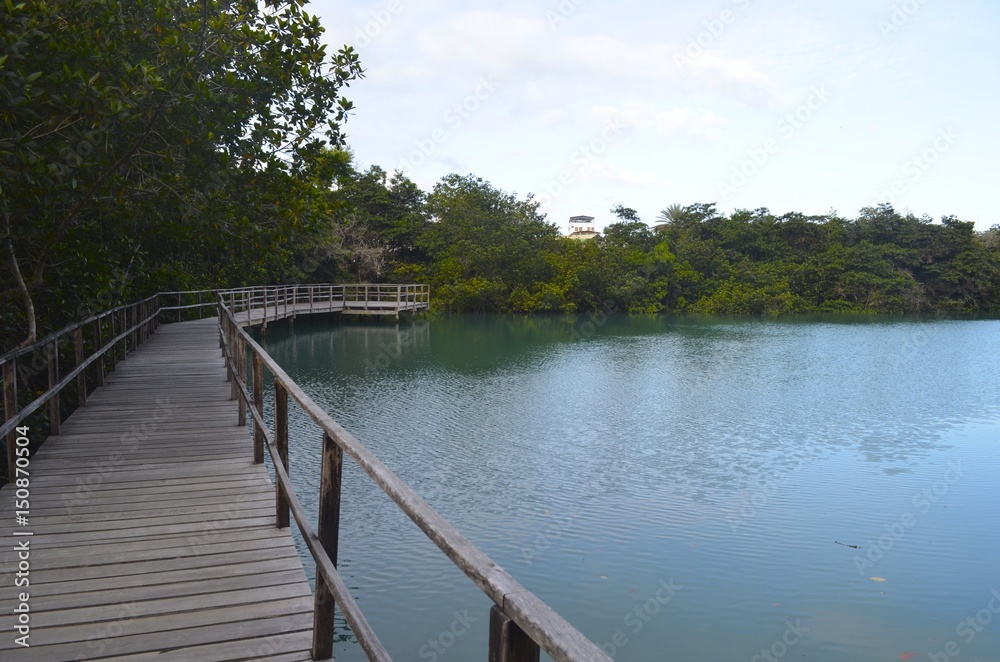 Laguna de las Ninfas, a saltwater lagoon in the town of Puerto Ayora, on Santa Cruz island in the Galapagos Islands. Laguna de las Ninfas, a saltwater lagoon in the town of Puerto Ayora, on Santa Cruz island in the Galapagos Islands.
