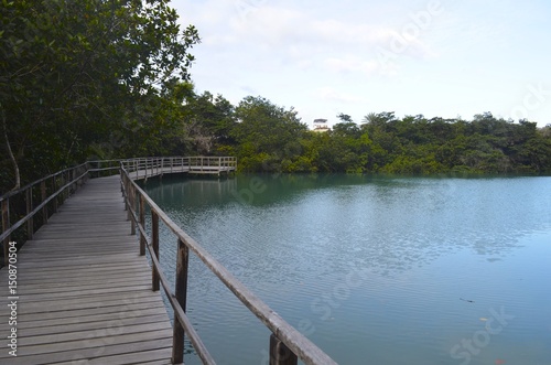 Laguna de las Ninfas, a saltwater lagoon in the town of Puerto Ayora, on Santa Cruz island in the Galapagos Islands. © Mark