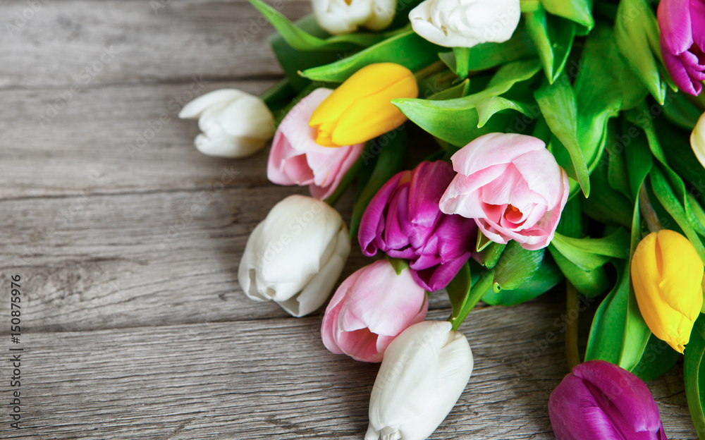 Colorful tulips on rustic wood background