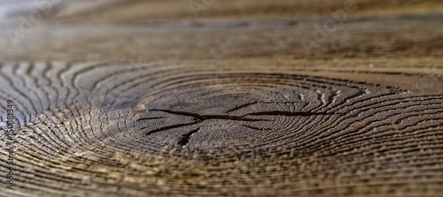Stara dębowa deska ze słojami © polmus