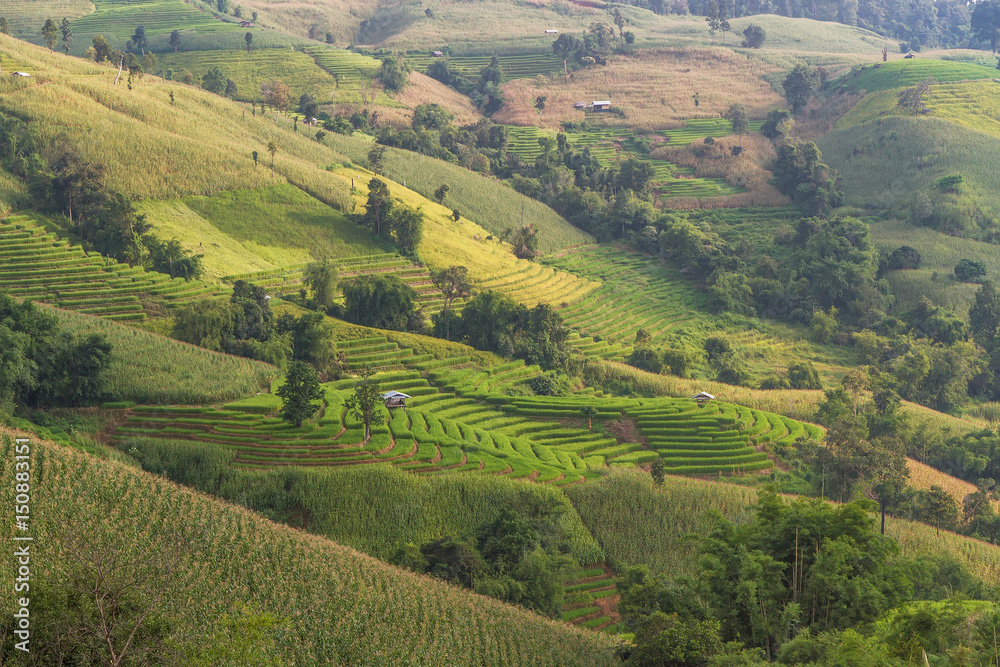 Terraced Rice Field with Hut and Mountain Background , Chiang Mai in Thailand ,Blur Background

