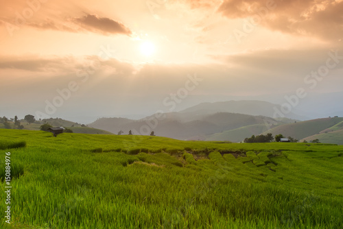 Terraced Rice Field with Hut and Mountain Background   Chiang Mai in Thailand  Blur Background    