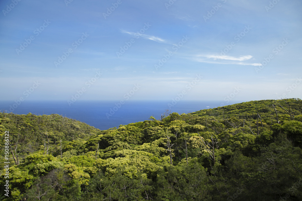 Mt. Yuwantake and other mountains