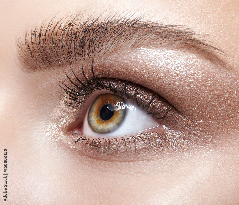 Obraz premium Female eye zone and brows with day makeup