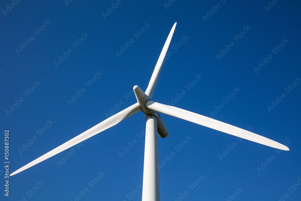 Windmill Windmill