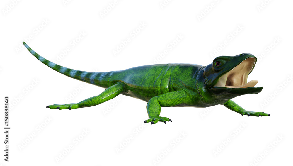 Naklejka premium 3D Rendering Chuckwalla on White