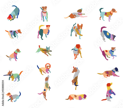 Fototapeta Naklejka Na Ścianę i Meble -  Set of vector colorful terrier dogs