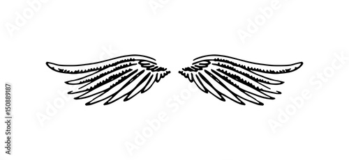 Wings illustration