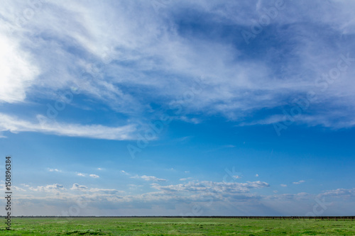 Field with green grass and blue sky with clouds
