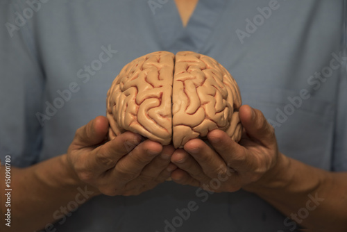 Doctor and brain model
