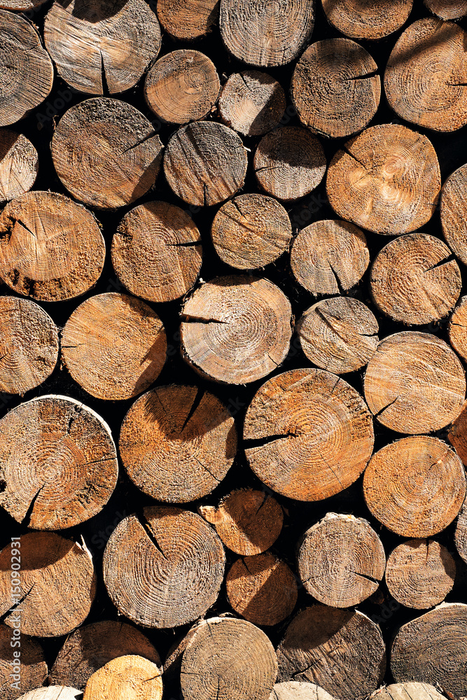 Small piece of natural wood logs used for design decorated wall Small piece of natural wood logs used for design decorated wall