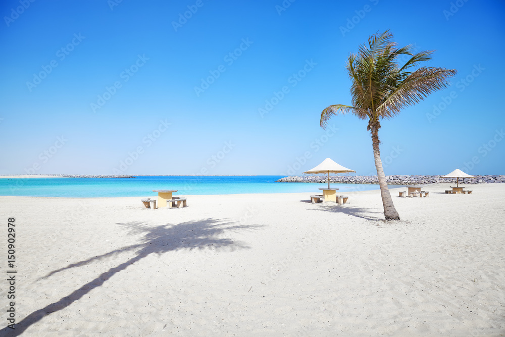 Beautiful beach with palm tree, summer holidays concept Beautiful beach with palm tree, summer holidays concept
