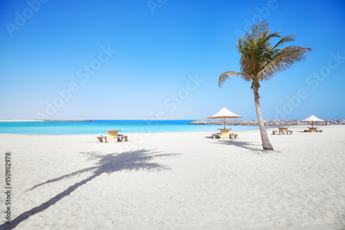 Beautiful beach with palm tree, summer holidays concept
