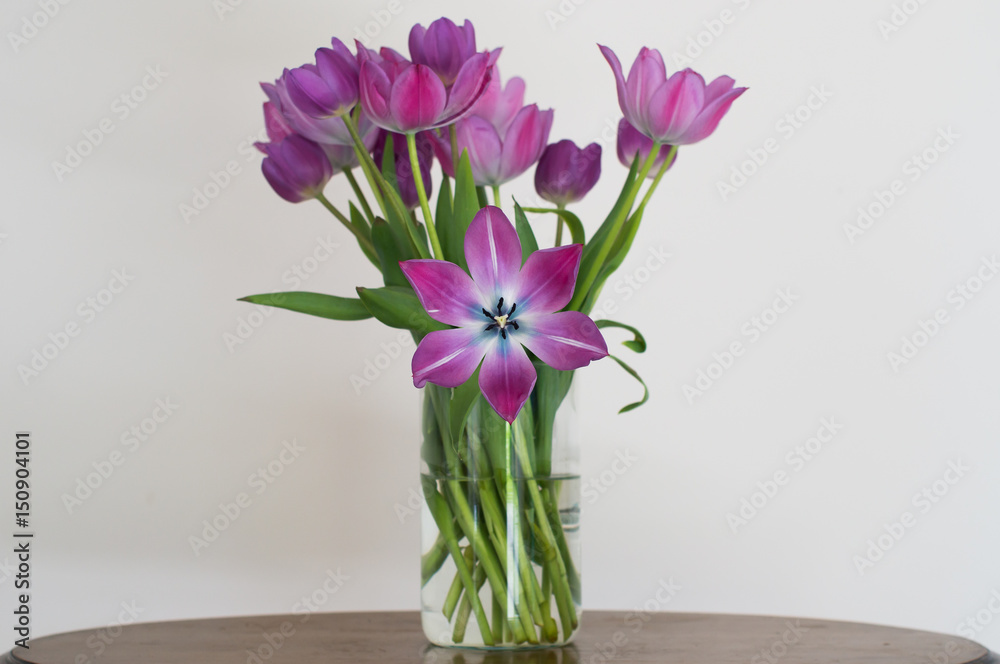 custom made wallpaper toronto digitaltulip flowers