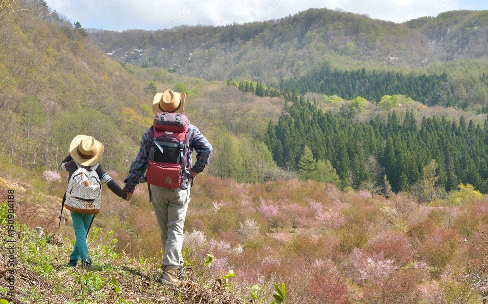初夏の高原・山桜の森を歩く