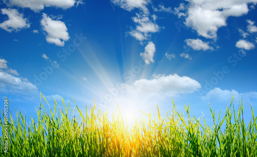  grass on clouds