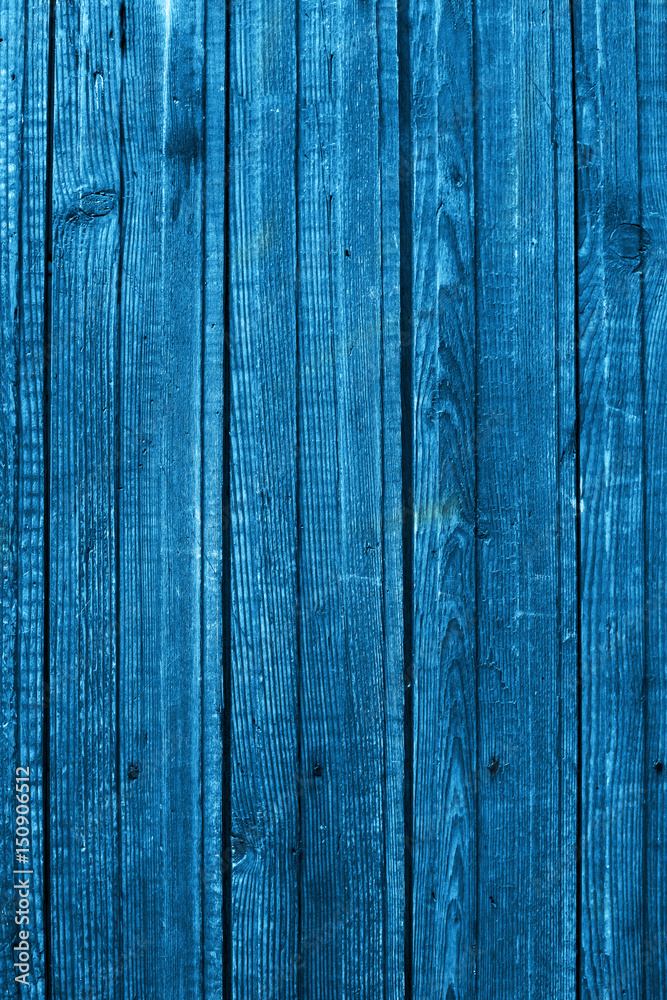 The blue wood texture with natural patterns The blue wood texture with natural patterns