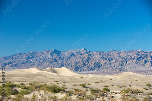 Death Valley National Park  USA.