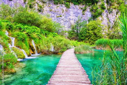 Plitvice Lakes National Park, green forest, lake and waterfalls, daytime summ...