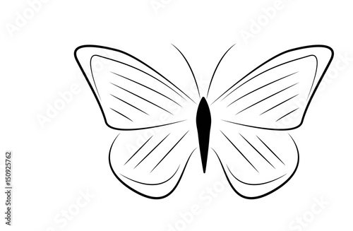 farfalla disegno vettroriale