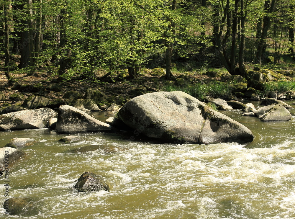 Naklejka premium Giant boulder in spring river
