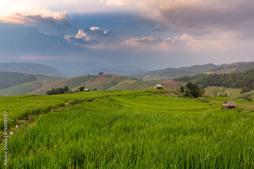 Terraced Rice Field with Hut and Mountain Background , Chiang Mai in Thailand ,Blur Background
Terraced Rice Field with Hut and Mountain Background , Chiang Mai in Thailand ,Blur Background