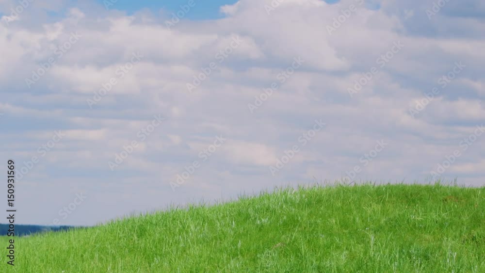 Green hill against the blue sky with clouds, there are no people. Nature background Green hill against the blue sky with clouds, there are no people. Nature background